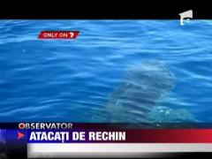 Pescari atacati de rechin