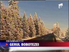 A venit gerul Bobotezei