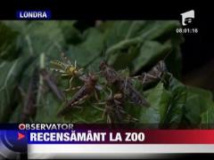 Recensamantul animalelor la Londra