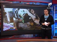 Tractoare cu numere false in Franta