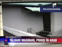 Talhari maghiari, prinsi in Arad