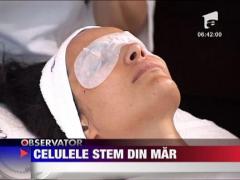 Felicia: Celulele stem din mar