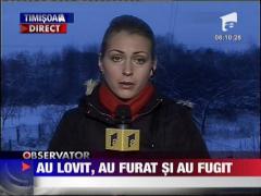 Jaf la un local din Timisoara