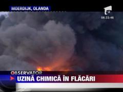 Uzina chimica in flacari in Olanda