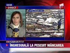 Inghesuiala la pescuit mancarea