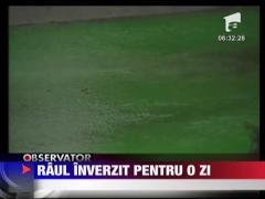 Rau colorat in verde in Canada