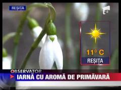 Iarna cu aroma de primavara