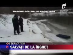 Salvati de la inghet