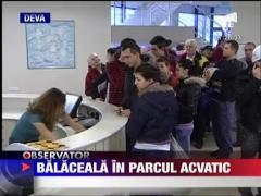 Balaceala la parcul acvatic