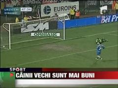 Cainii vechi sunt mai buni