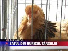 Satul din buricul targului