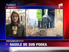 Oase descoperite sub podea