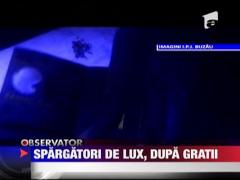 Retea de jefuitori de locuinte de lux, anihilata in Buzau