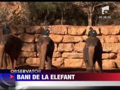 Ceremonie inedita la gradina zoologica din Ierusalim