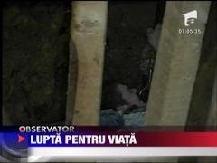 Un tanar a fost prins sub un mal de pamant, la Iasi