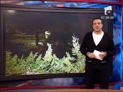 Un sofer s-a speriat de o depasire riscanta si a sarit cu  masina de pe un pod