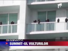 Summit-ul vulturilor