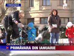 Primavara din ianuarie