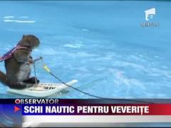Schi nautic pentru veverite