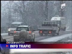 Traficul zilei - 22.01.2010