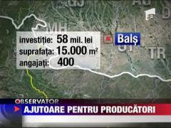 Autoritatile sunt grijulii cu firmele de productie