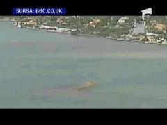 Misterul pianului de pe e o bucatica de nisip dintr-un golf