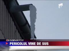 UPDATE / Un turture imens era sa o ucida pe o batrana