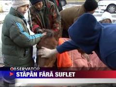 Observator de weekend