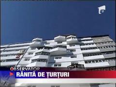 Femeie ranita de turturi