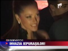 Brasovul, invadat de iepurasi sexy