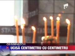 Municipalitatea va construi cel mai mare adapost pentru animale din Europa