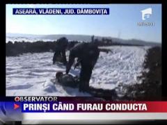 Damboviteni prinsi la furat