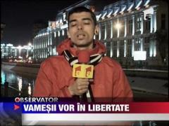 Vamesii vor in libertate