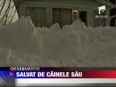 Doborat de zapada, dar salvat de cainele sau