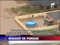 Australienii, invadati de puhoaie