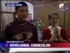 Chinezii au sarbatorit intrarea in anul iepurelui de metal