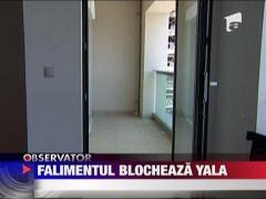 Falimentul blocheaza yala