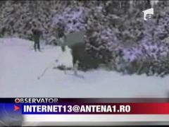 Iarna, izvor de imagini amuzante