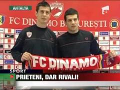 Cainii nu tradeaza, nici chiar pentru prieteni!