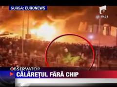 Calaret fara chip surprins de reporterii televiziunii americane MS NBC in Egipt