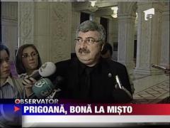 Prigoana, bona la misto