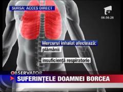 Suferintele doamnei Borcea