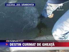 Copil de opt ani inecat in curtea unui vecin