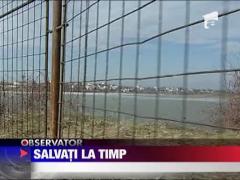 Pescari salvati din apa inghetata