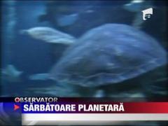 Indragostitii din intreaga lumea si-au facut declaratii de amor