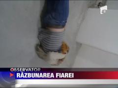 Barbatul care a supravietuit atacului ursuletului de plus