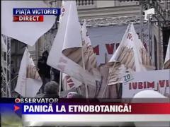 Radio Zu da panica la etnobotanica!