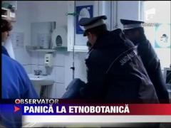 Buzdugan si Morar protesteaza cu marar, impotriva etnobotanicelor