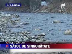 S-a sinucis de singuratate