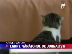 Prima victima a motanului consilier